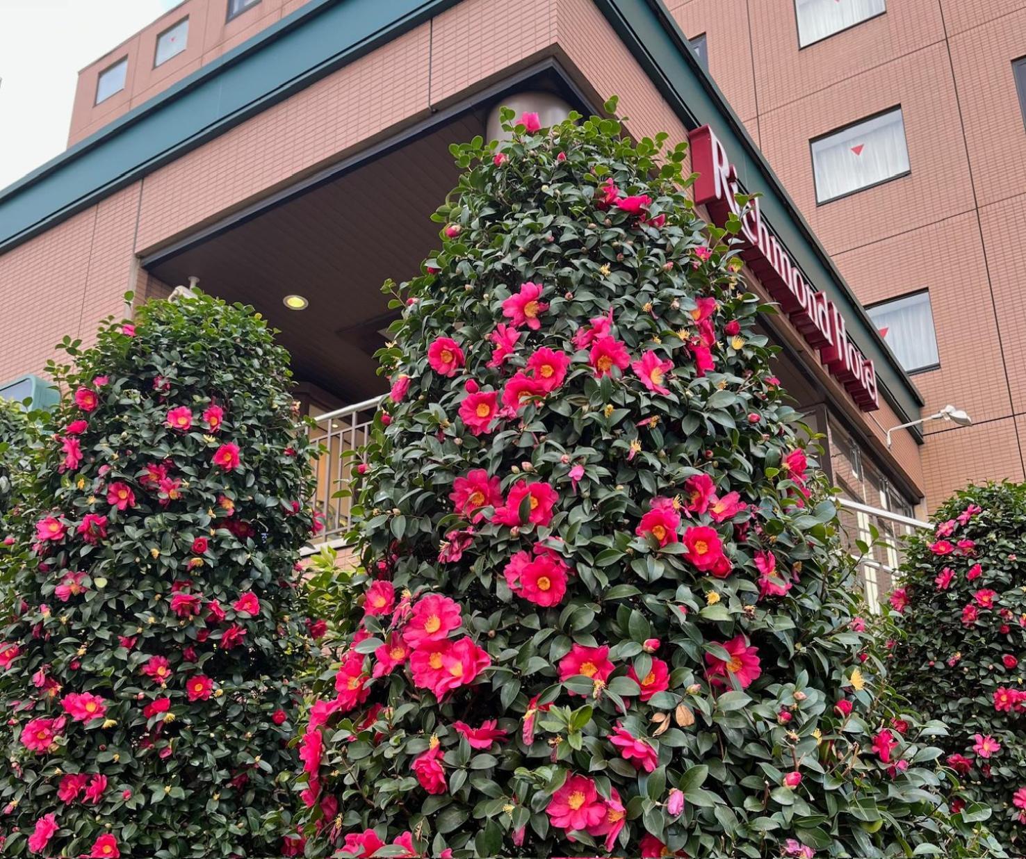 Richmond Hotel Tokyo มูซาชิโนะ ภายนอก รูปภาพ